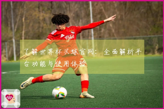 了解世界杯买球官网：全面解析平台功能与使用体验