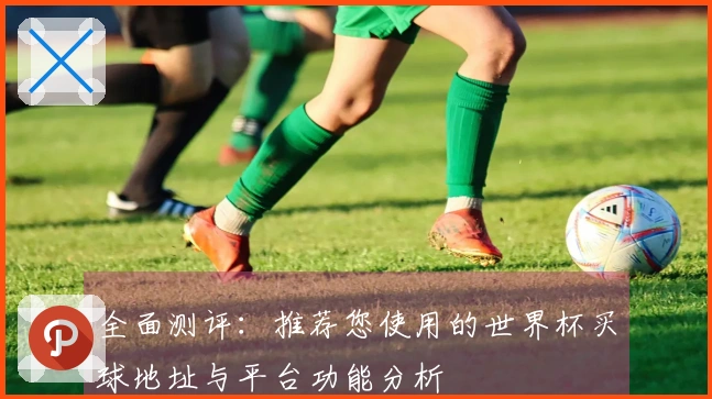 全面测评：推荐您使用的世界杯买球地址与平台功能分析