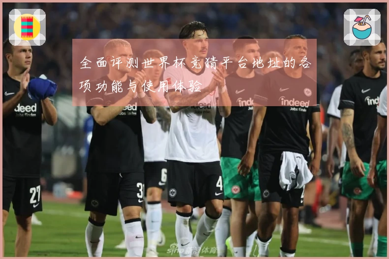 全面评测世界杯竞猜平台地址的各项功能与使用体验