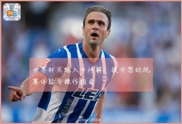 世界杯买球入口详解：提升您的观赛体验与操作指南