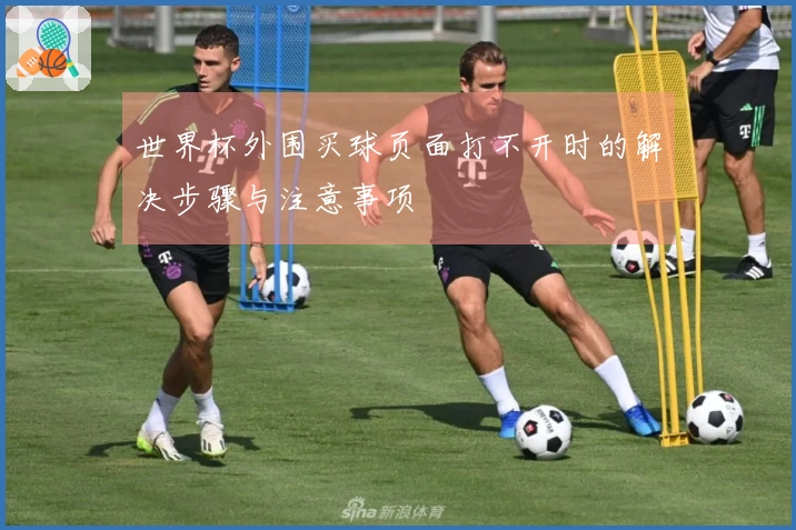世界杯外围买球页面打不开时的解决步骤与注意事项