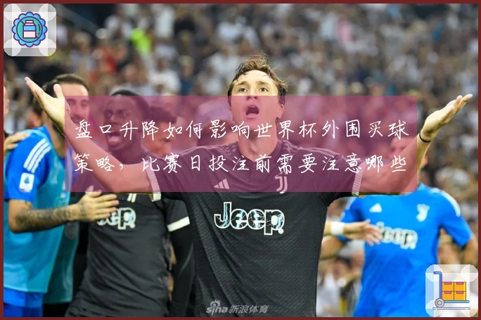 盘口升降如何影响世界杯外围买球策略,比赛日投注前需要注意哪些要素?