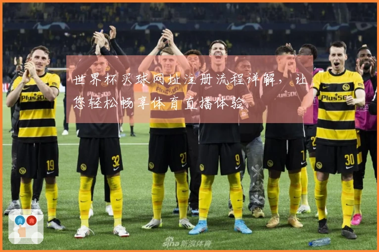 世界杯买球网址注册流程详解，让您轻松畅享体育直播体验