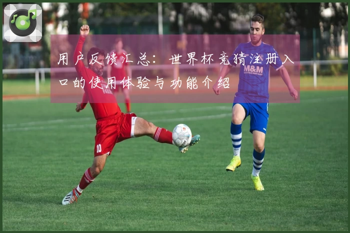 用户反馈汇总：世界杯竞猜注册入口的使用体验与功能介绍