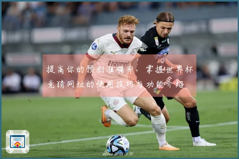 提高你的预测准确率，掌握世界杯竞猜网址的使用技巧与功能介绍