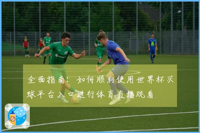 全面指南：如何顺利使用世界杯买球平台入口进行体育直播观看