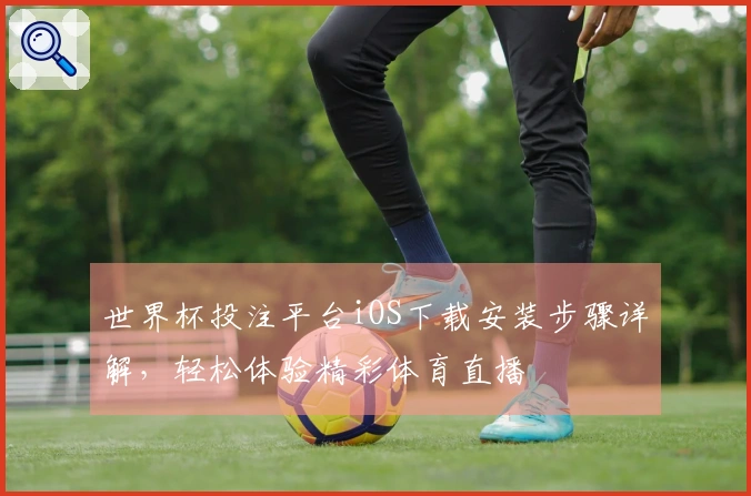 世界杯投注平台iOS下载安装步骤详解，轻松体验精彩体育直播