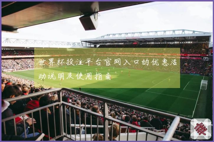 世界杯投注平台官网入口的优惠活动说明及使用指南