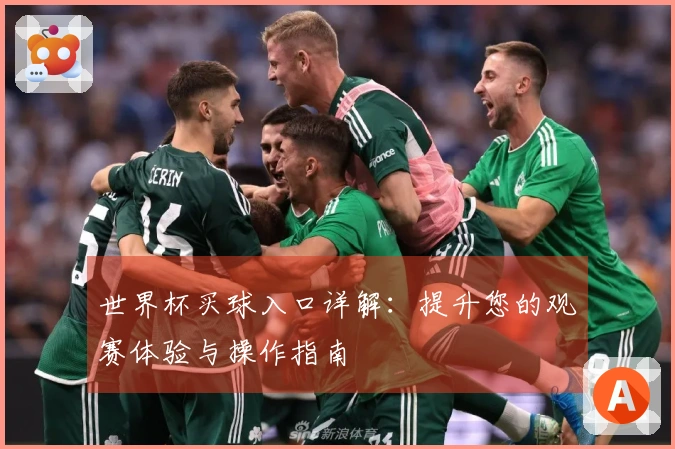世界杯买球入口详解：提升您的观赛体验与操作指南