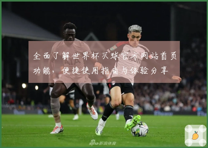 全面了解世界杯买球官方网站首页功能，便捷使用指南与体验分享