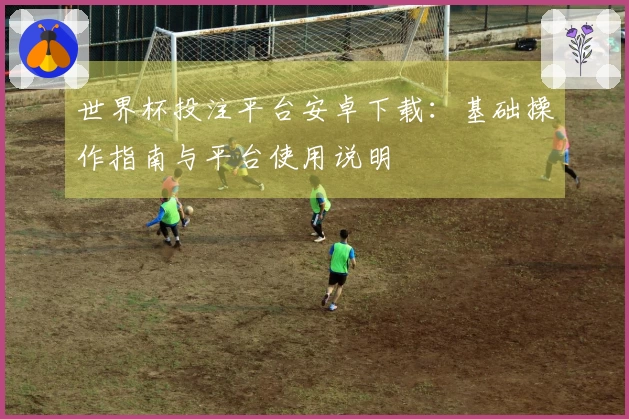 世界杯投注平台安卓下载：基础操作指南与平台使用说明