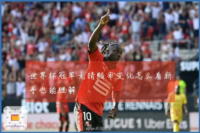 世界杯冠军竞猜赔率变化怎么看新手也能理解