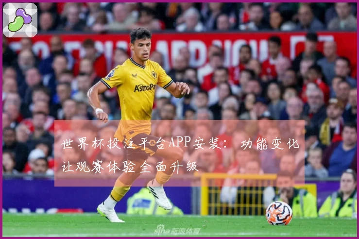 世界杯投注平台APP安装：功能变化让观赛体验全面升级