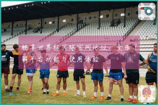 畅享世界杯买球官网地址，全面了解平台功能与使用体验