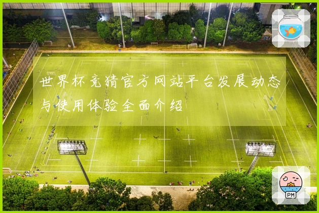 世界杯竞猜官方网站平台发展动态与使用体验全面介绍