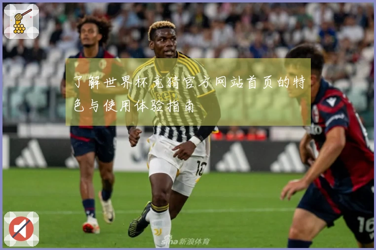 了解世界杯竞猜官方网站首页的特色与使用体验指南
