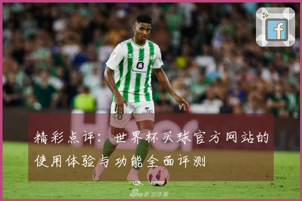 精彩点评：世界杯买球官方网站的使用体验与功能全面评测
