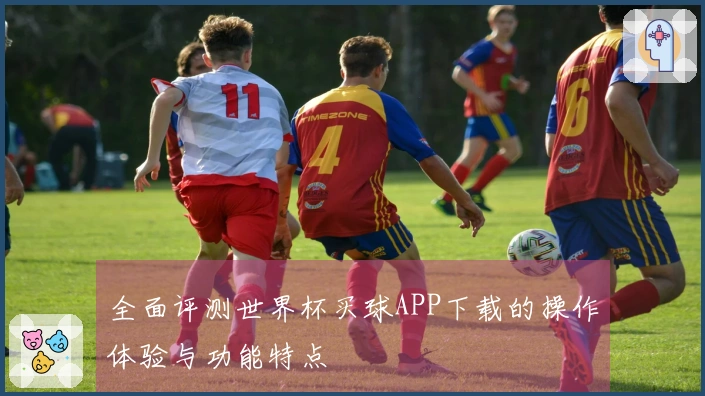 全面评测世界杯买球APP下载的操作体验与功能特点