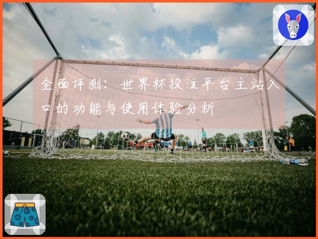 全面评测：世界杯投注平台主站入口的功能与使用体验分析